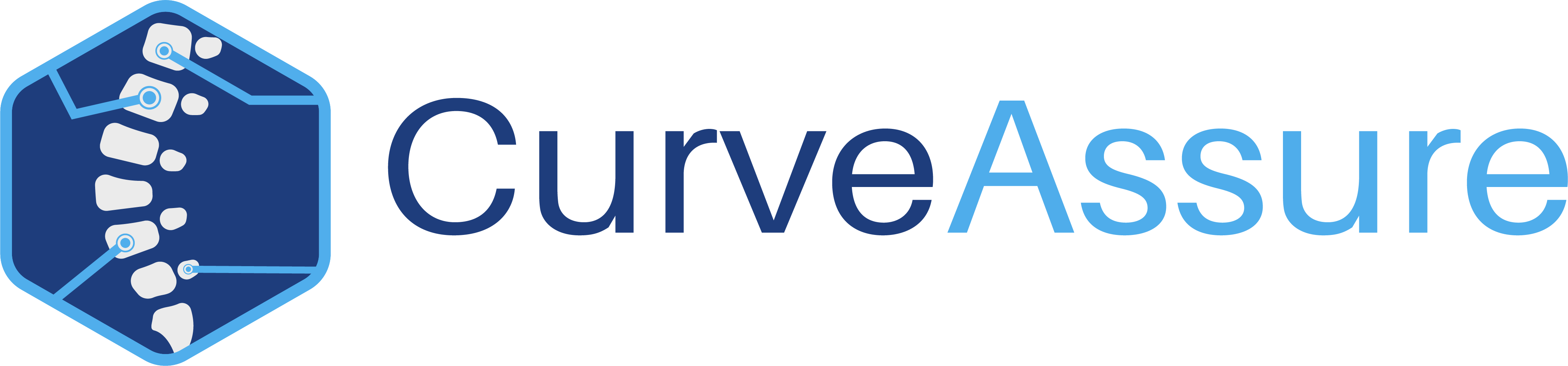 Company Name